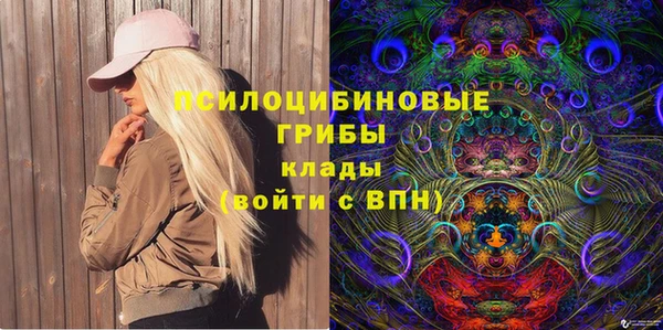 тгк Алзамай