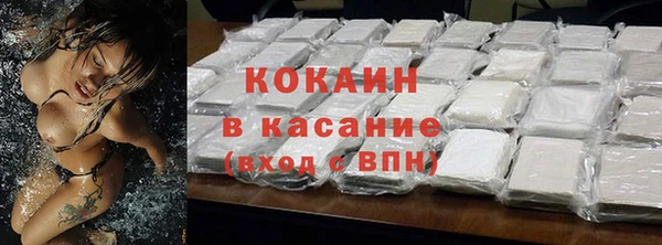 тгк Алзамай